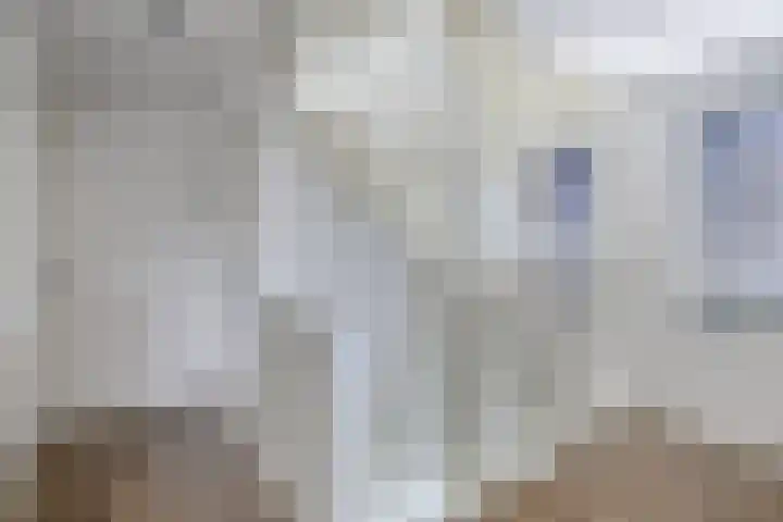 Cornelis Lelyhage 1 Emmeloord thumbnail 24