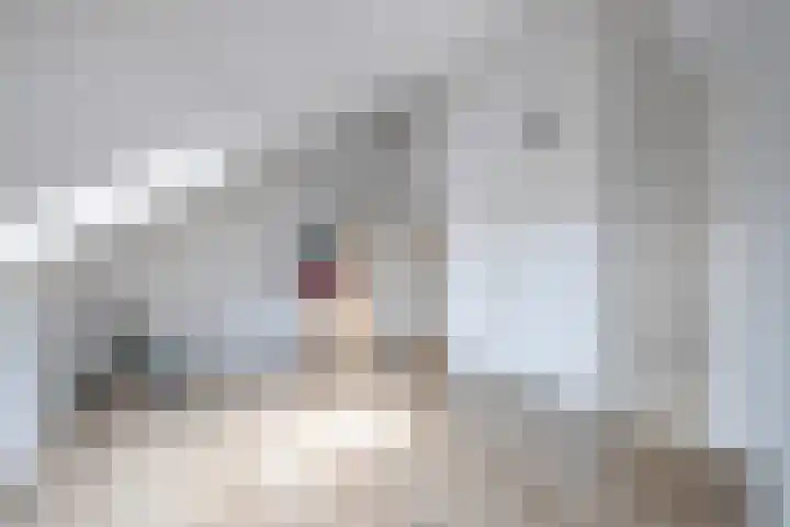 Cornelis Lelyhage 1 Emmeloord thumbnail 26