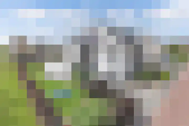Cornelis Lelyhage 1 Emmeloord thumbnail 29