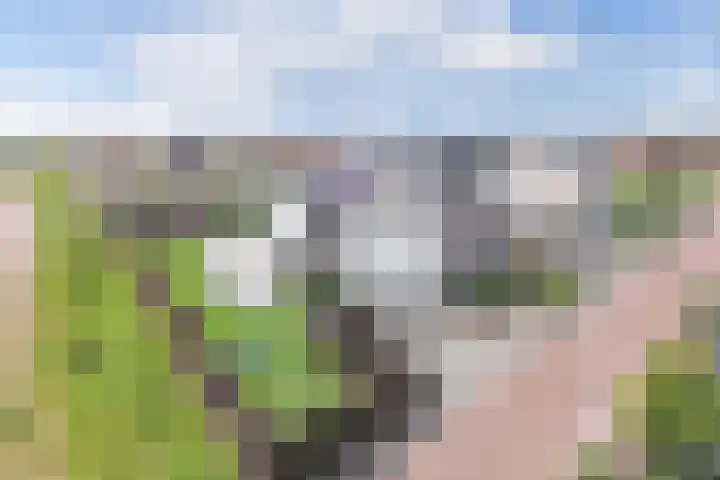 Cornelis Lelyhage 1 Emmeloord thumbnail 30