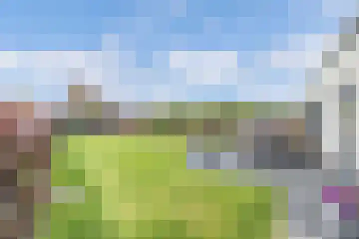 Cornelis Lelyhage 1 Emmeloord thumbnail 41