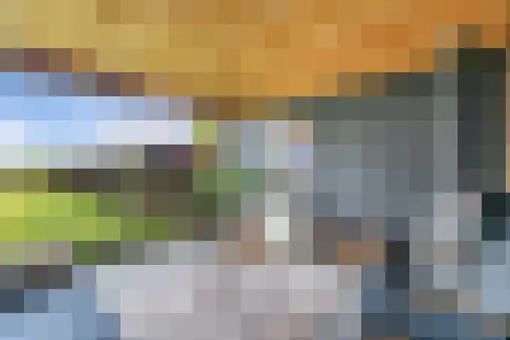 Cornelis Lelyhage 1 Emmeloord thumbnail 43