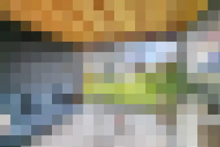 Cornelis Lelyhage 1 Emmeloord thumbnail 44