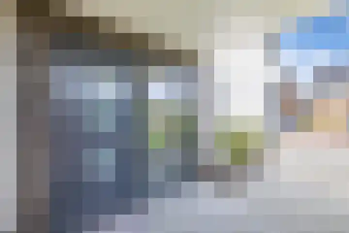 Cornelis Lelyhage 1 Emmeloord thumbnail 46