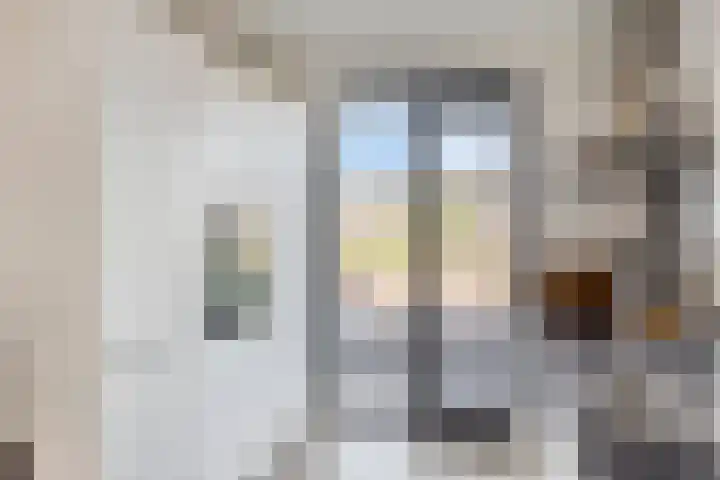 Cornelis Lelyhage 32 Emmeloord thumbnail 11