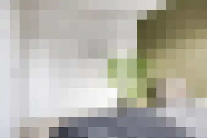 Cornelis Lelyhage 32 Emmeloord thumbnail 16