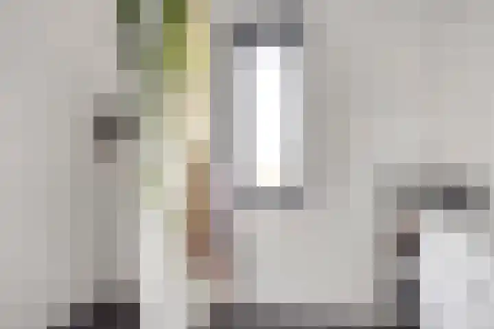 Cornelis Lelyhage 32 Emmeloord thumbnail 17