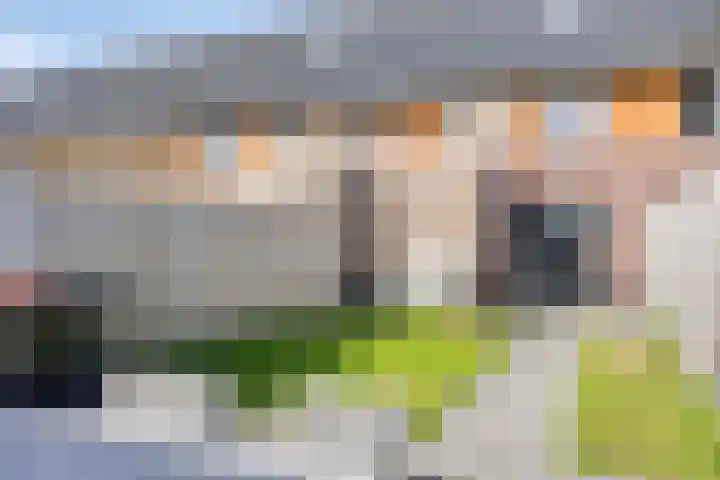 Cornelis Lelyhage 32 Emmeloord thumbnail 28