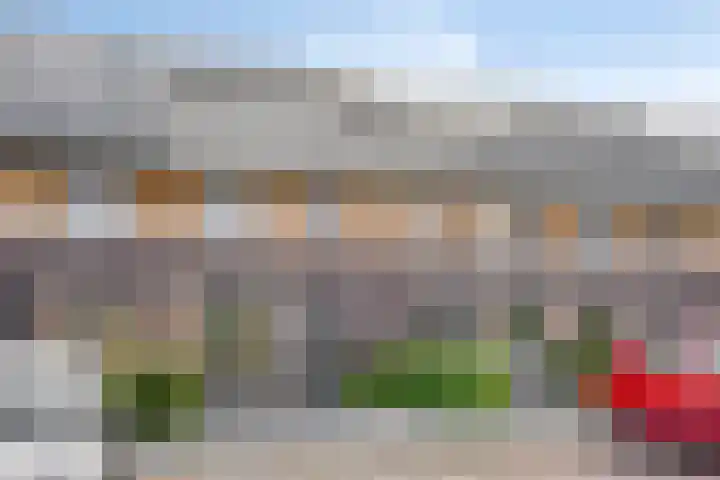 Cornelis Lelyhage 32 Emmeloord thumbnail 30