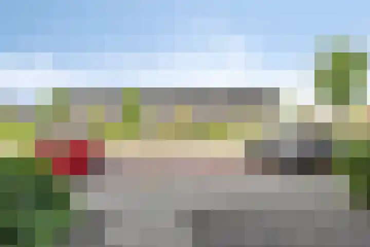 Cornelis Lelyhage 32 Emmeloord thumbnail 31