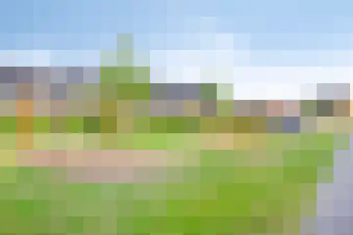 Cornelis Lelyhage 32 Emmeloord thumbnail 32
