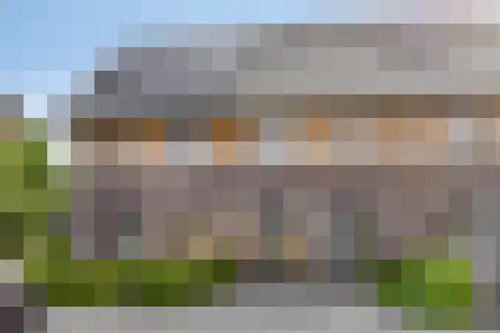Cornelis Lelyhage 32 Emmeloord thumbnail 4