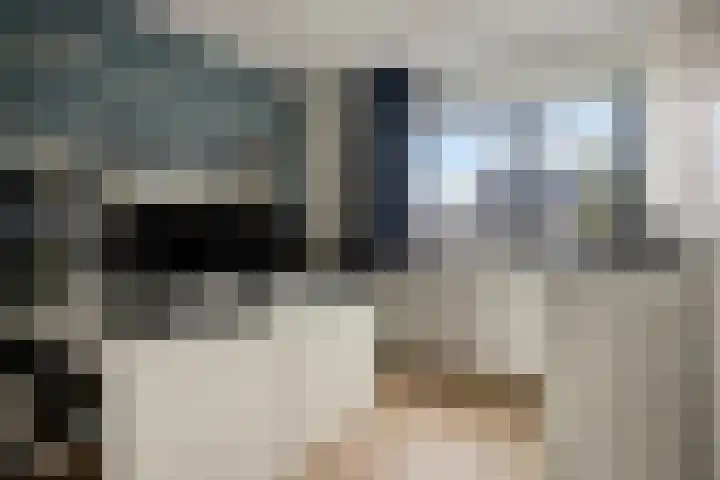 Cornelis Lelyhage 36 Emmeloord thumbnail 29