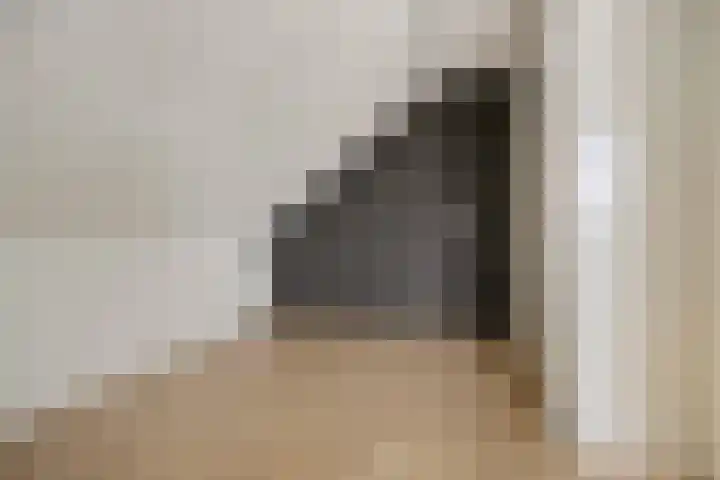 Cornelis Lelyhage 36 Emmeloord thumbnail 32