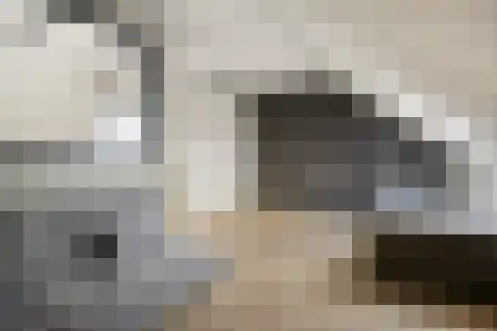 Cornelis Lelyhage 36 Emmeloord thumbnail 35
