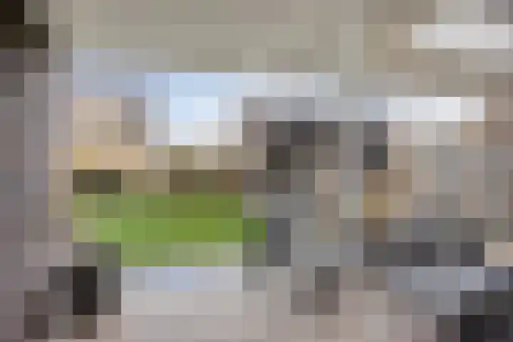 Cornelis Lelyhage 36 Emmeloord thumbnail 36