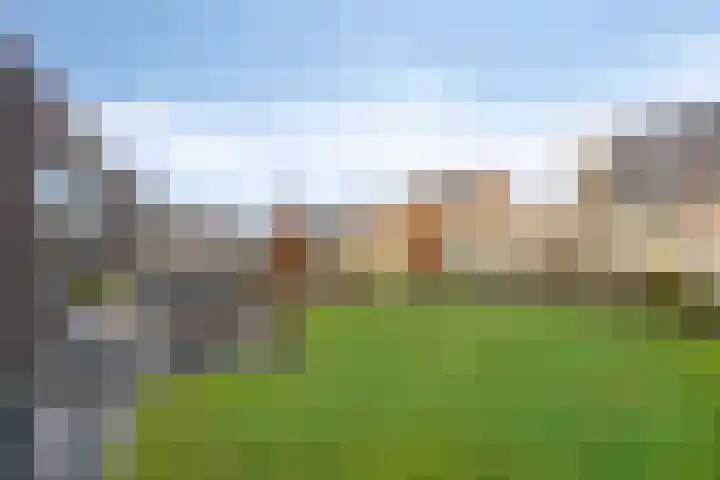 Cornelis Lelyhage 36 Emmeloord thumbnail 38
