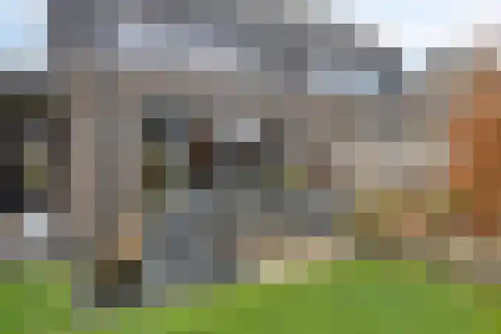 Cornelis Lelyhage 36 Emmeloord thumbnail 41