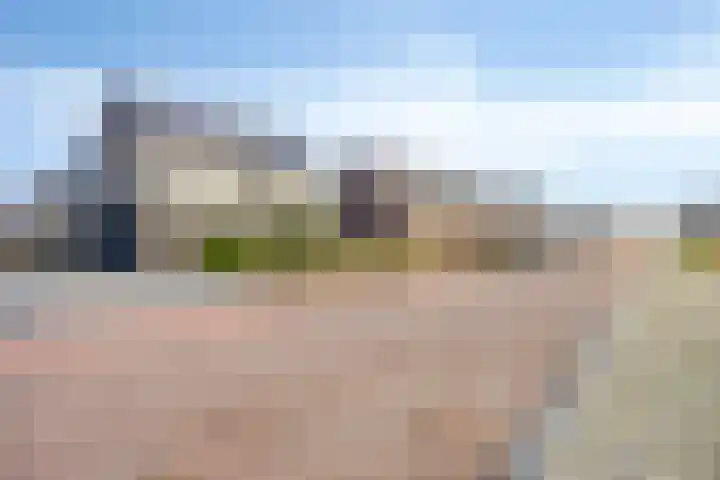 Cornelis Lelyhage 36 Emmeloord thumbnail 43