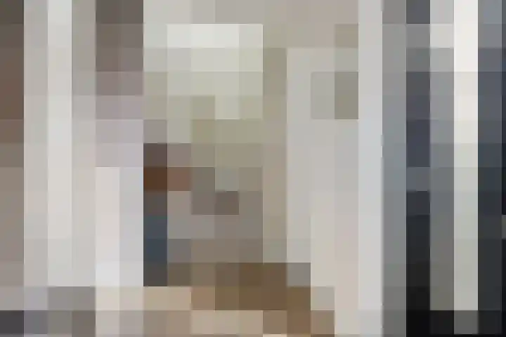 Cornelis Lelyhage 36 Emmeloord thumbnail 6