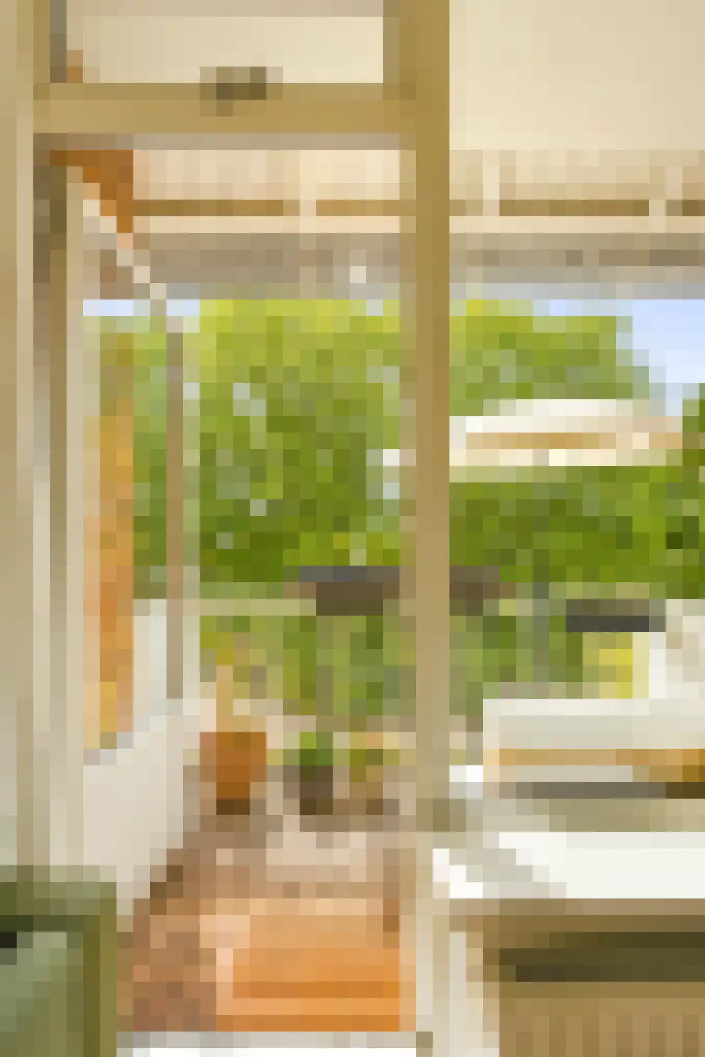 Cornelis Lelylaan 101 3 Amsterdam thumbnail 11