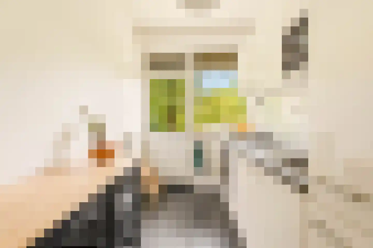 Cornelis Lelylaan 101 3 Amsterdam thumbnail 16