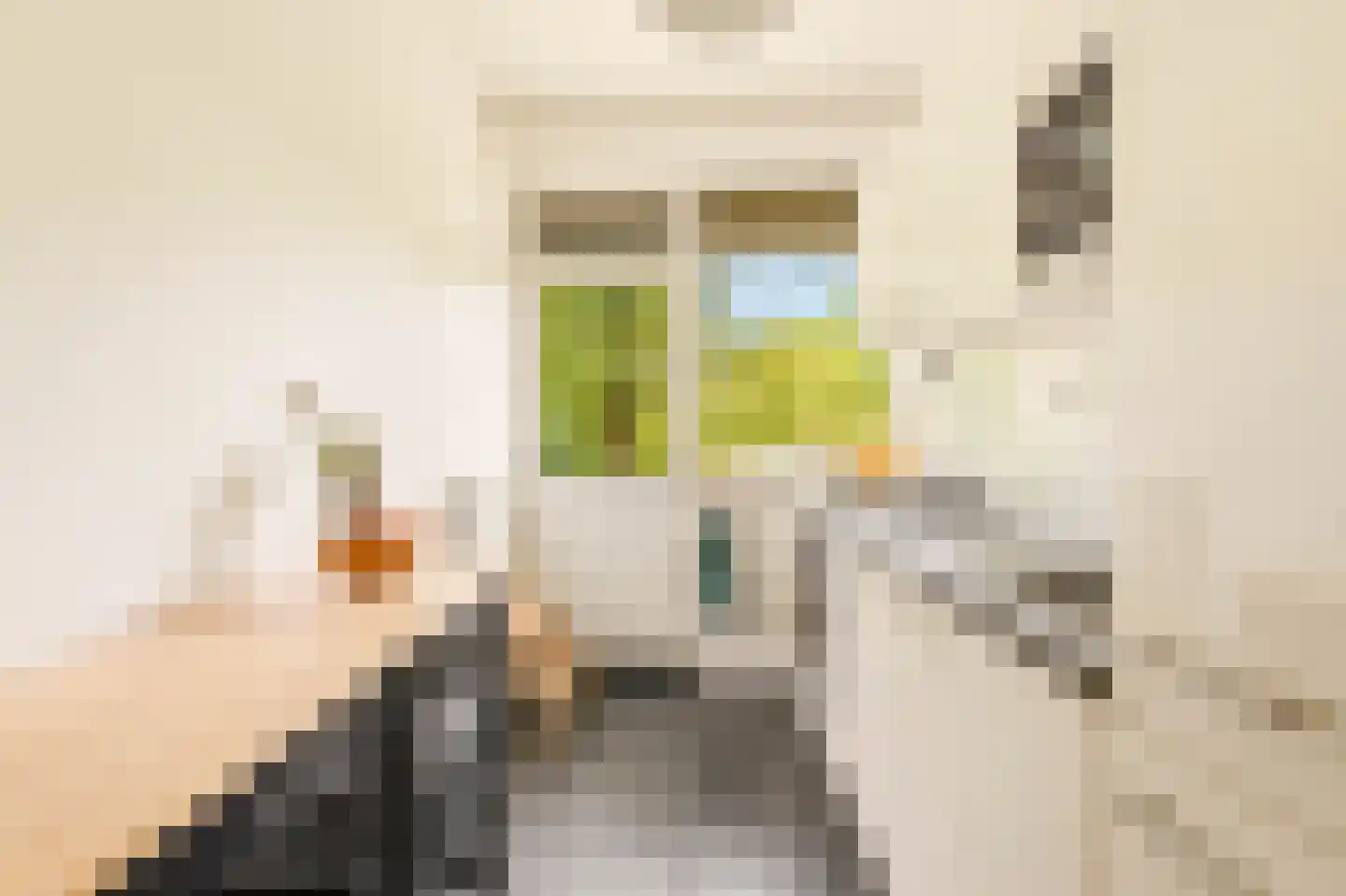 Cornelis Lelylaan 101 3 Amsterdam thumbnail 16