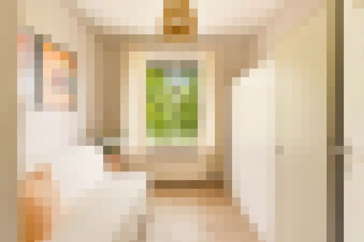 Cornelis Lelylaan 101 3 Amsterdam thumbnail 21