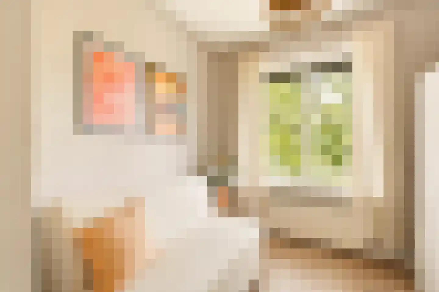 Cornelis Lelylaan 101 3 Amsterdam thumbnail 22