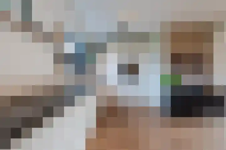 Cornelis Lelylaan 2 Deventer thumbnail 12
