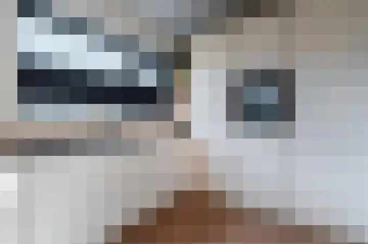 Cornelis Lelylaan 2 Deventer thumbnail 15