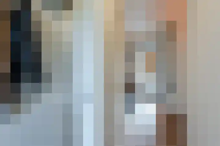 Cornelis Lelylaan 2 Deventer thumbnail 17