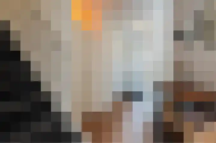 Cornelis Lelylaan 2 Deventer thumbnail 21