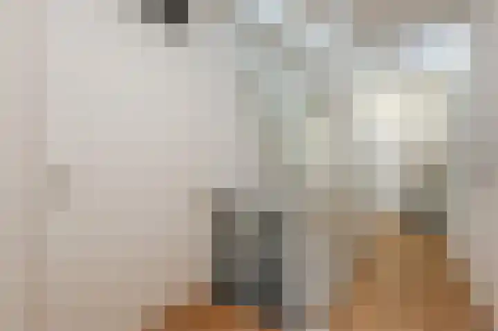 Cornelis Lelylaan 2 Deventer thumbnail 23