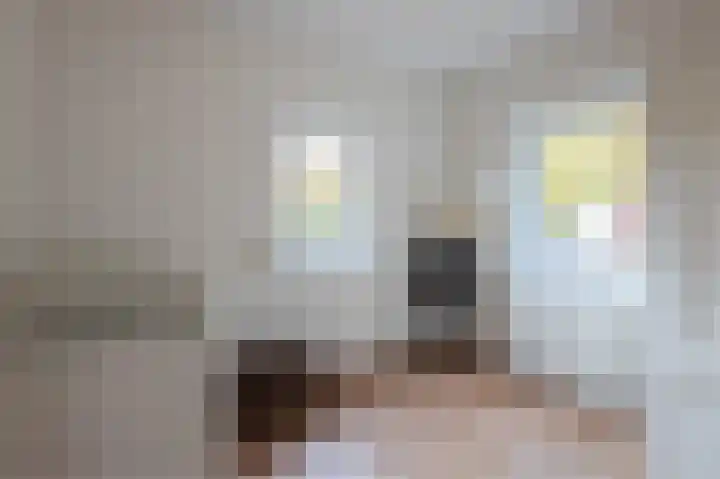 Cornelis Lelylaan 2 Deventer thumbnail 27
