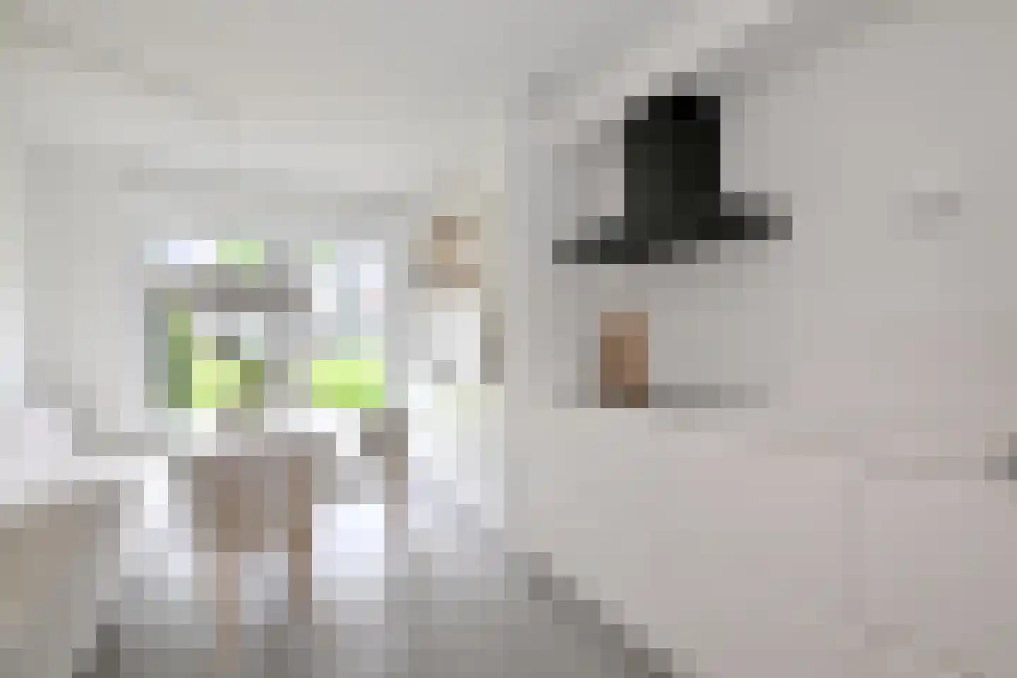 Cornelis Lelylaan 33 Deventer thumbnail 10