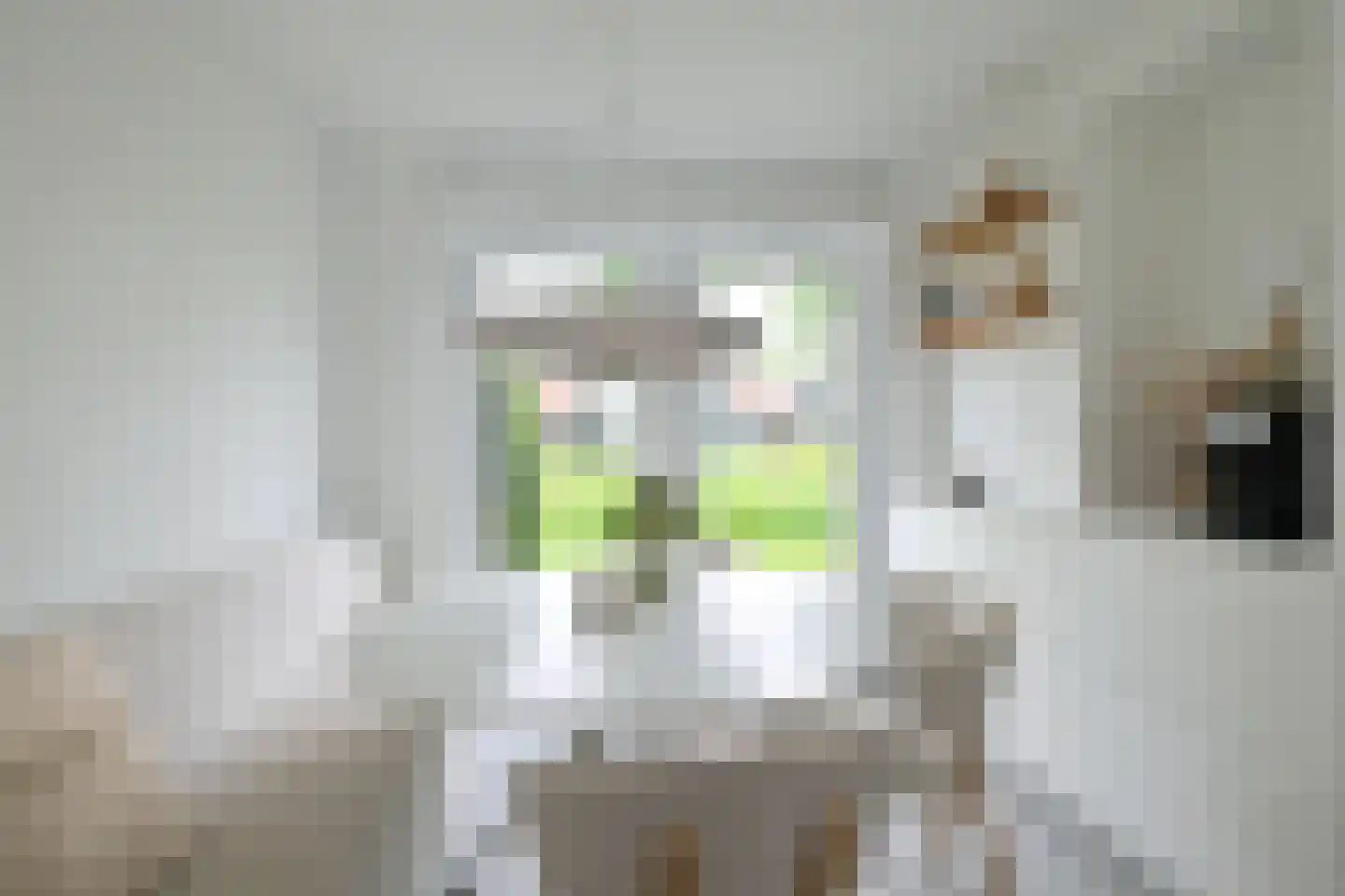 Cornelis Lelylaan 33 Deventer thumbnail 11