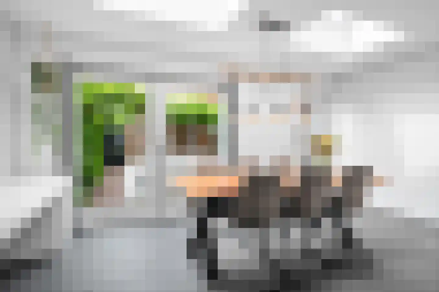 Cornelis Lelylaan 59 Deventer thumbnail 14