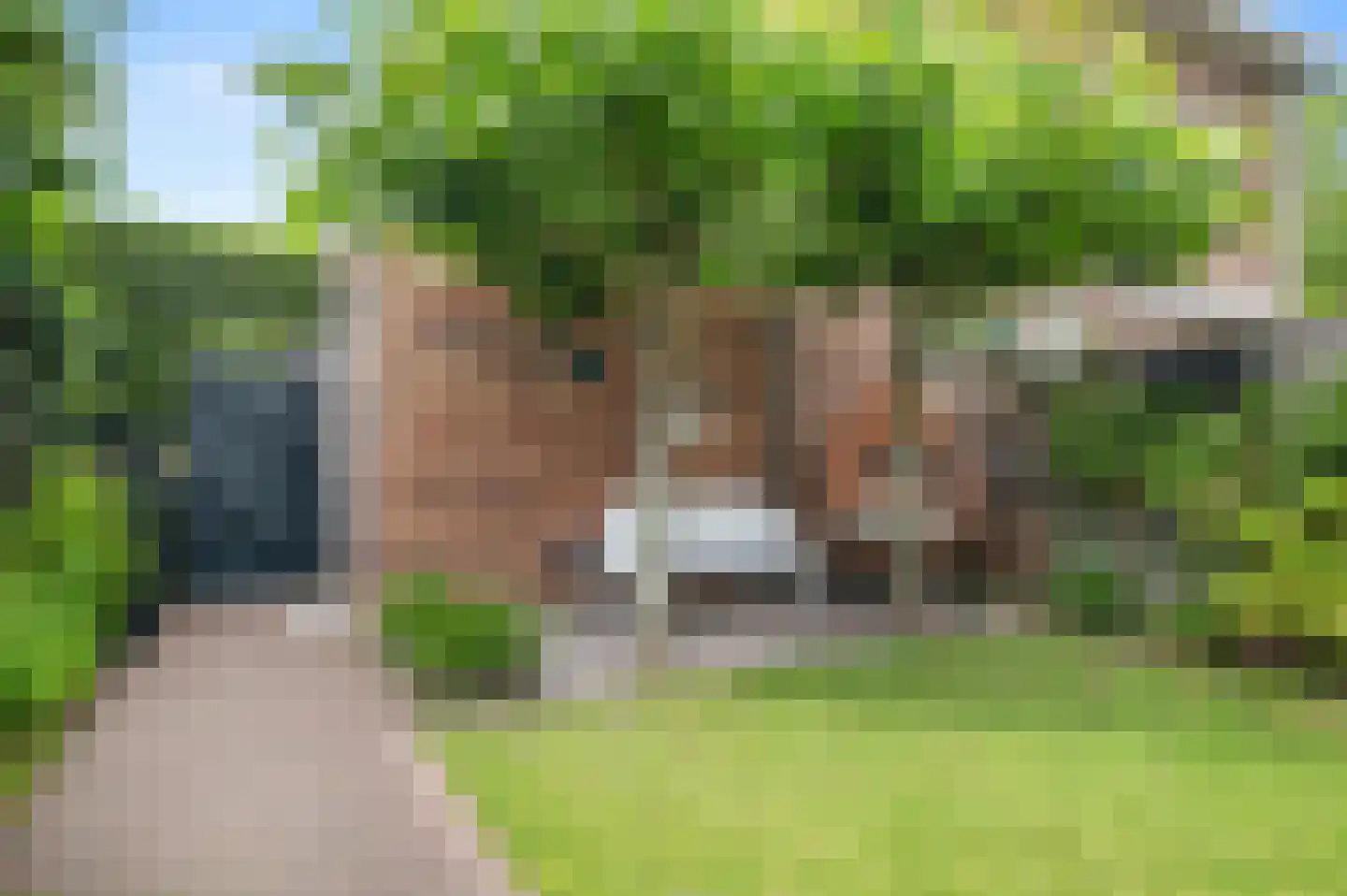 Cornelis Lelylaan 59 Deventer thumbnail 36