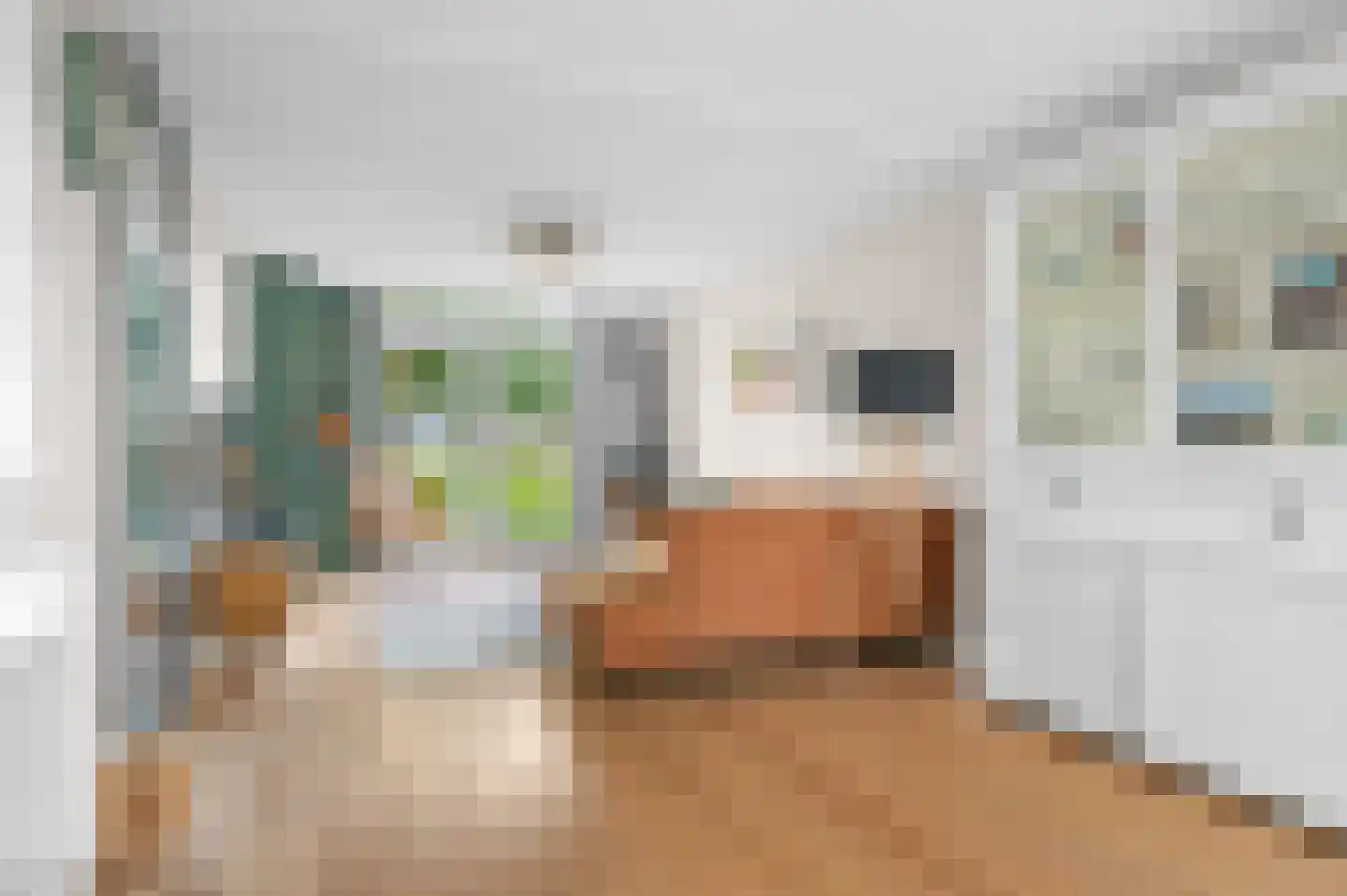 Cornelis Lelylaan 59 Deventer thumbnail 5