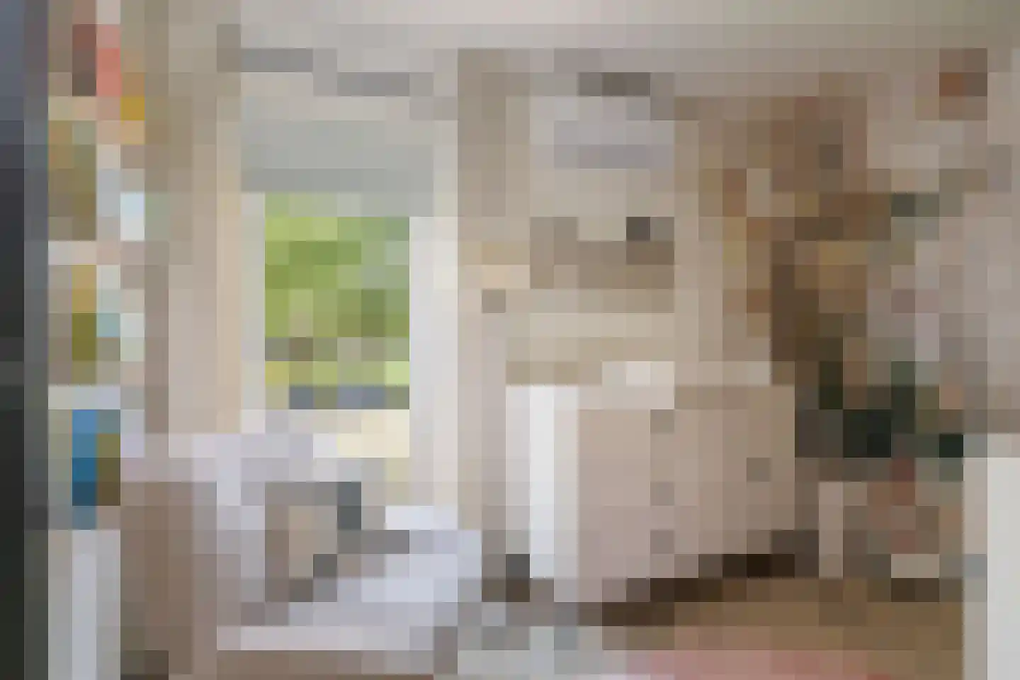 Cornelis Lelylaan 85 Deventer thumbnail 20