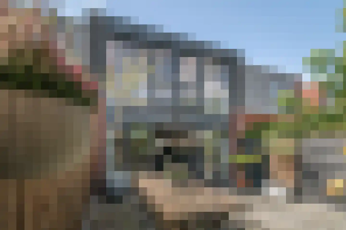 Cornelis Lelylaan 85 Deventer thumbnail 29