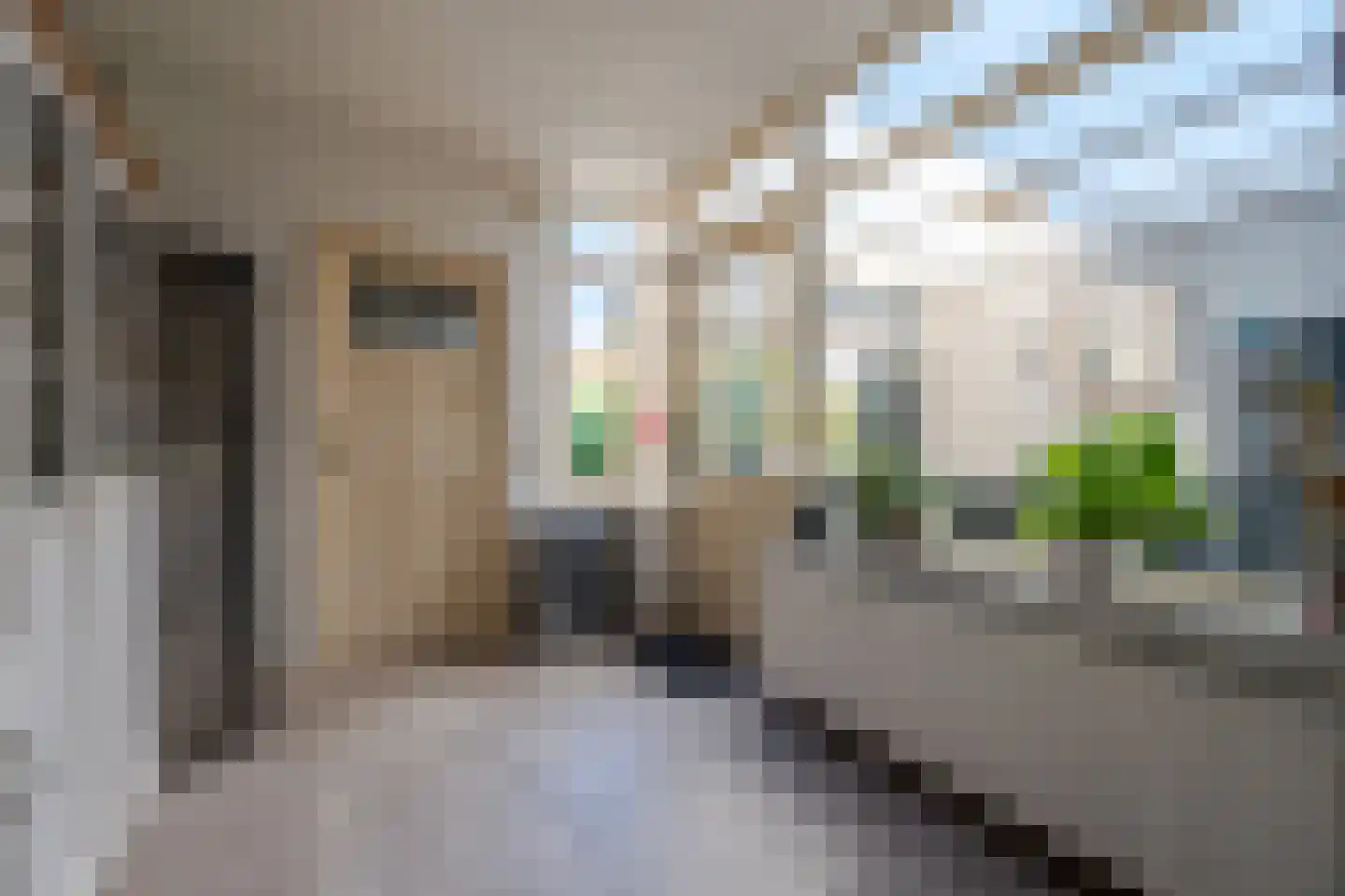 Cornelis M.J.M. Burgerlaan 5 Zeist thumbnail 12