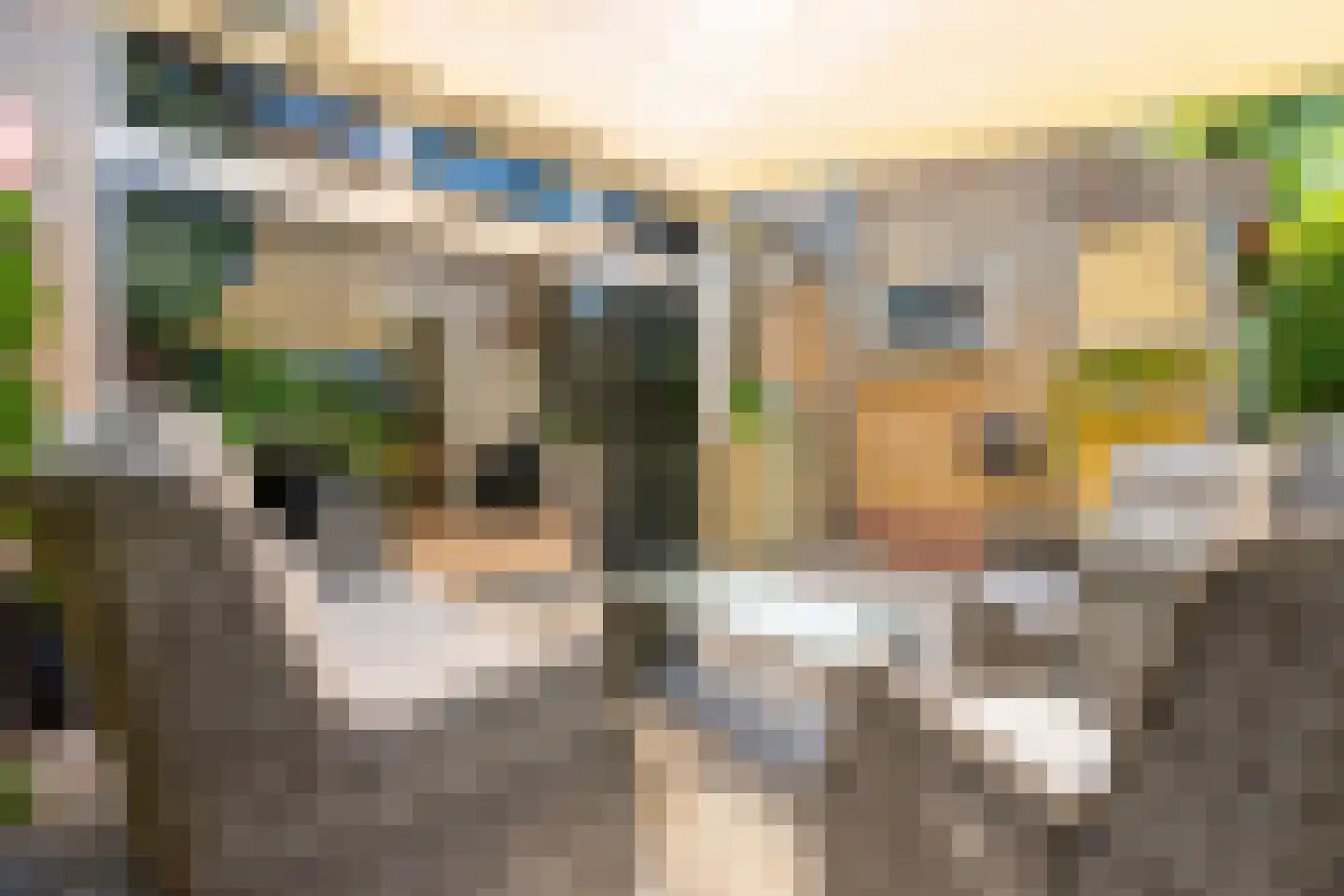 Cornelis M.J.M. Burgerlaan 5 Zeist thumbnail 16