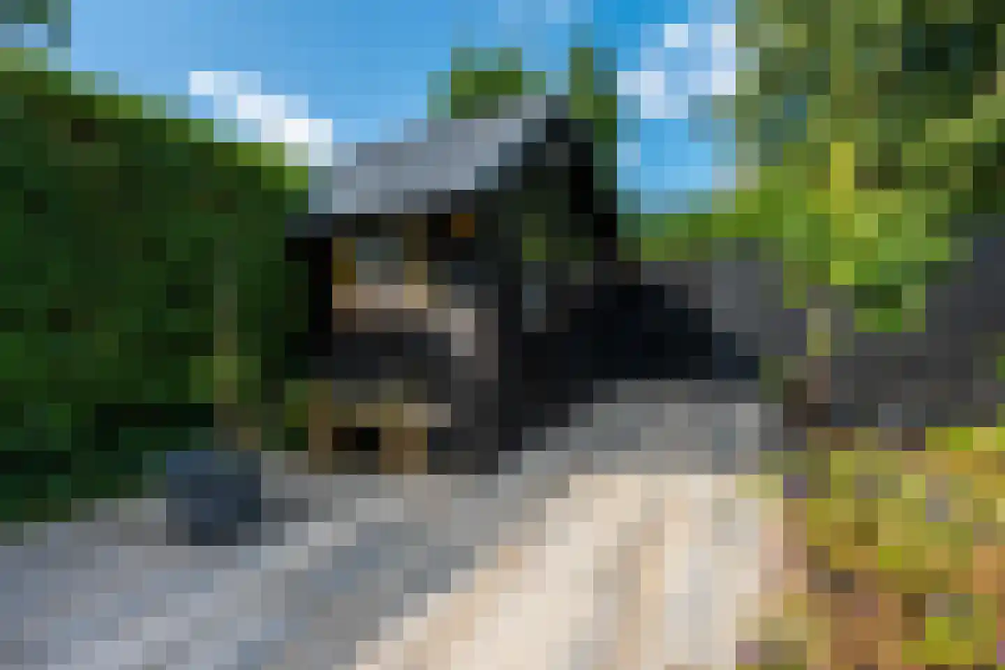 Cornelis M.J.M. Burgerlaan 5 Zeist thumbnail 20