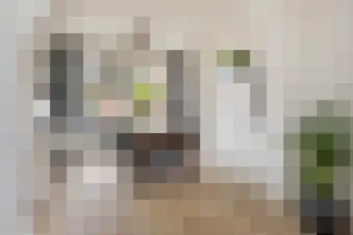 Cornelis M.J.M. Burgerlaan 9 Zeist thumbnail 12