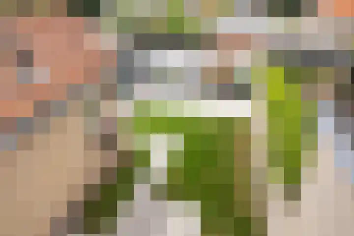 Cornelis M.J.M. Burgerlaan 9 Zeist thumbnail 27