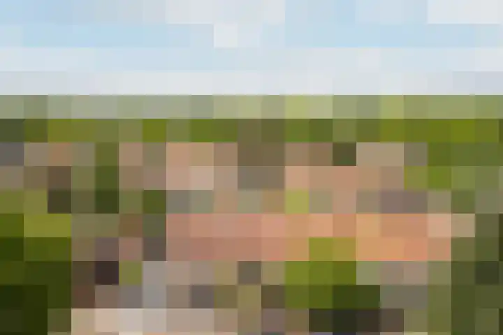 Cornelis M.J.M. Burgerlaan 9 Zeist thumbnail 34