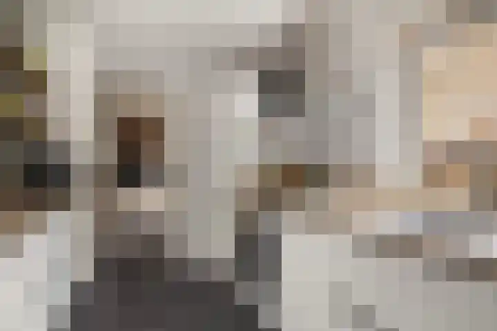 Cornelis M.J.M. Burgerlaan 9 Zeist thumbnail 4