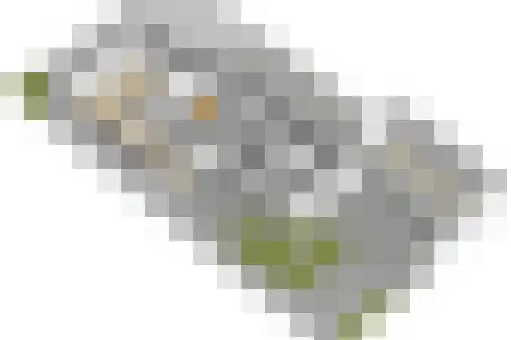 Cornelis M.J.M. Burgerlaan 9 Zeist thumbnail 47